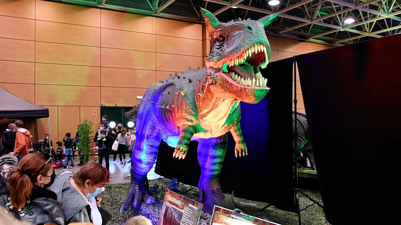 LYON EUREXPO 4 DINOZAURI BY YO3AK F4VSD