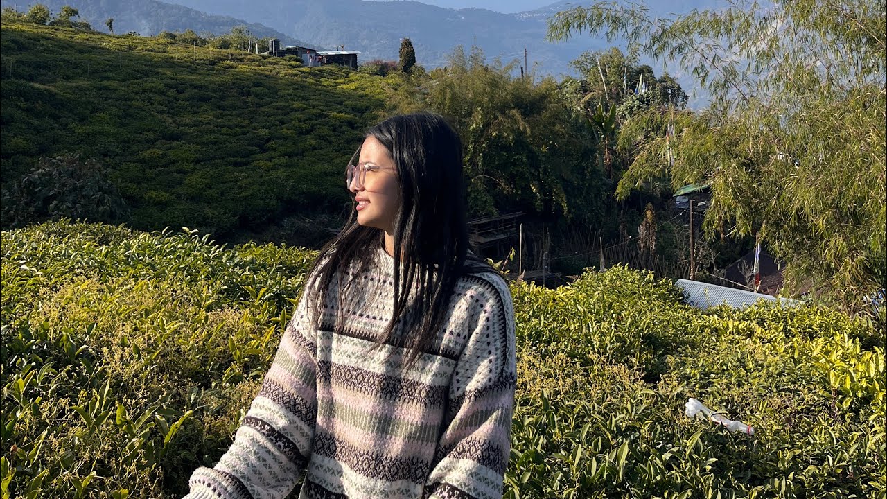 Temi tea garden/Birthday vlog/Sikkim