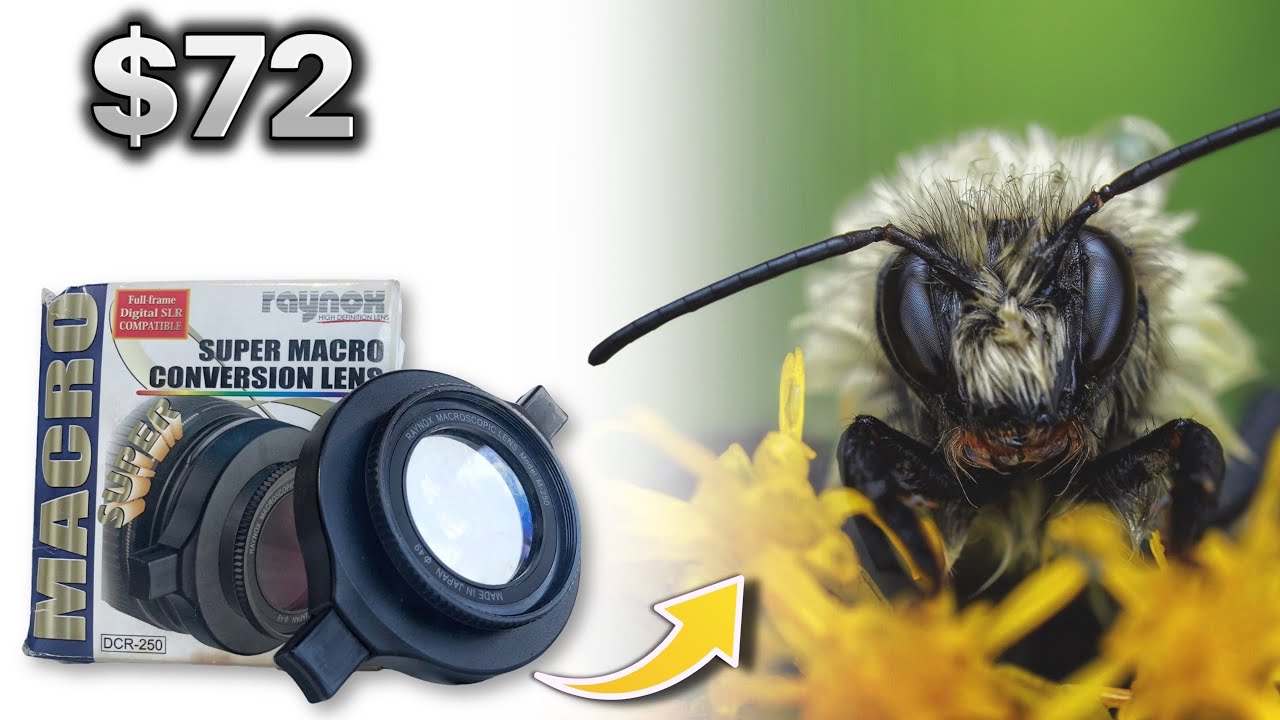 Raynox DCR-250 Snap-on Macro Lens Review