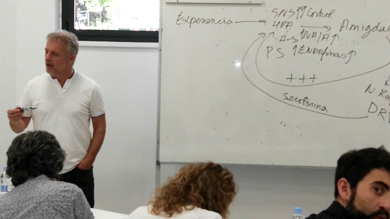 El cerebro no puede con el 