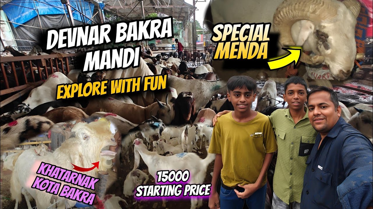 Deonar Bakra Mandi latest update || deonar Mandi Vlog With Fun || 15000 milenge bakre