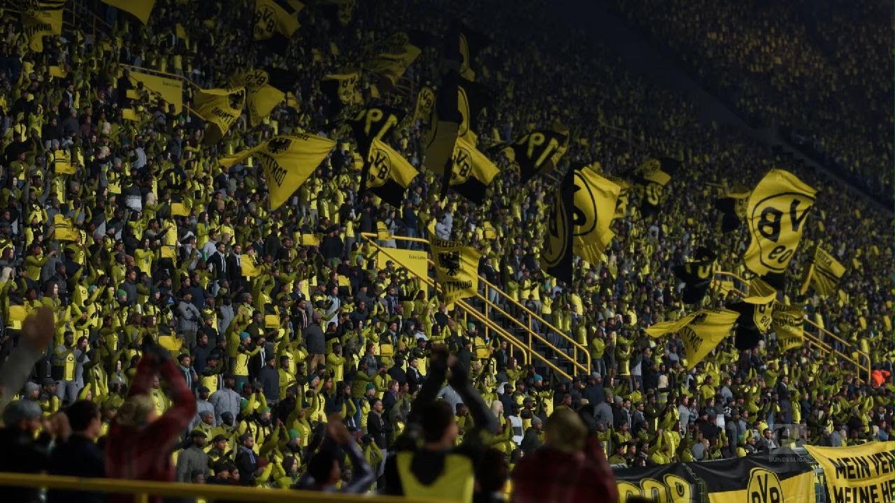 BVB-BAY 2