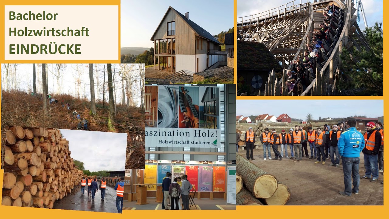 Holzwirtschaft (Bachelor of Science)