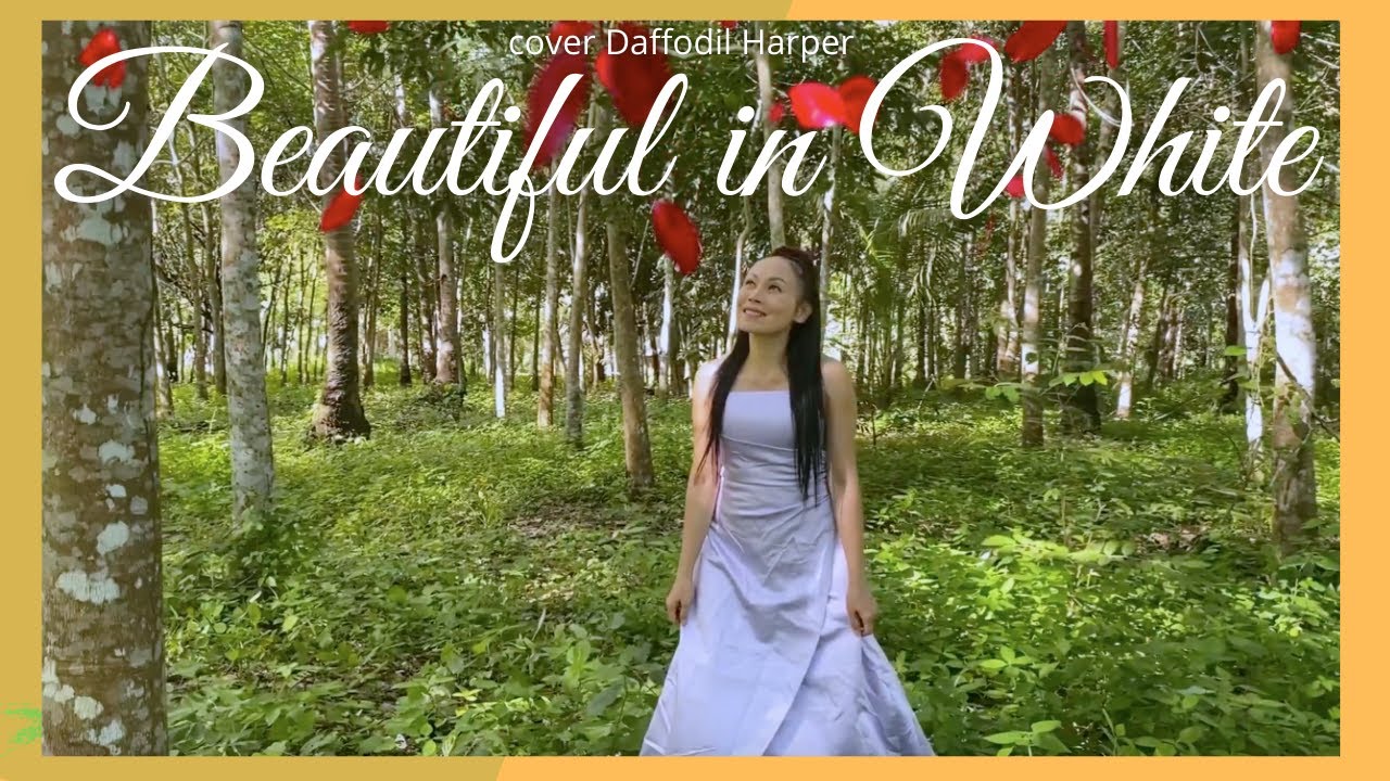 Beautiful in White I Cover Daffodil Harper I Westlife I Shane Filan I Wedding Song I Canon in D