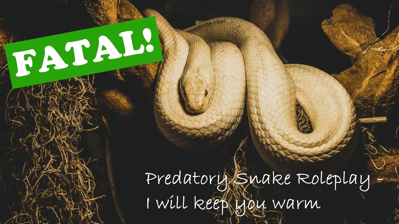 ASMR **V**  Predatory Snake Roleplay - I will keep you warm[REQUESTED]