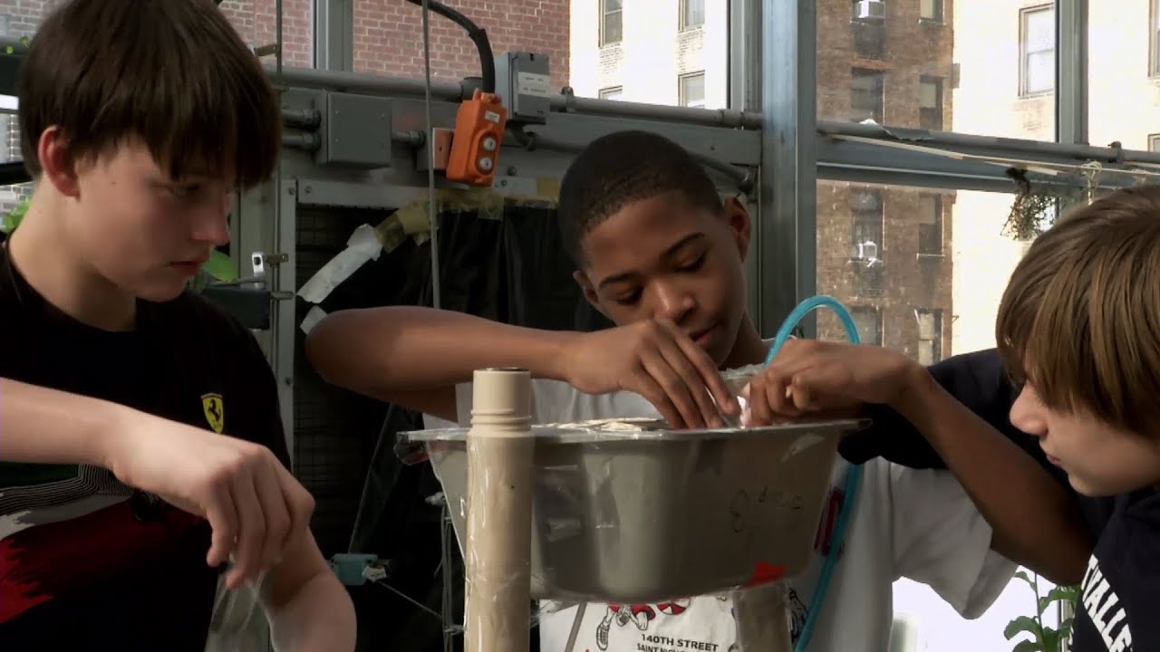 Greenhouse labs spur student learning on Manhattan rooftops