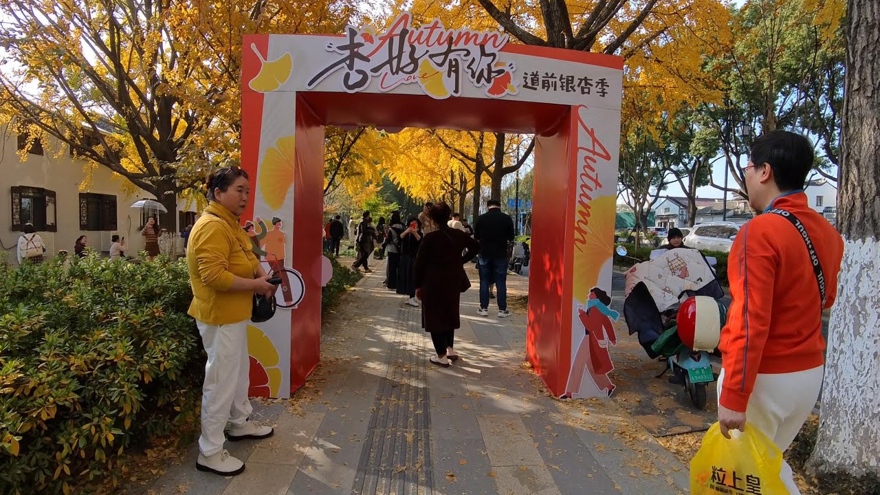 🚶‍♂️ Daoqian Street — Autumn Ginkgo Walk（道前街｜苏州漫步·秋日银杏） | Suzhou City Walk, China 4K HDR