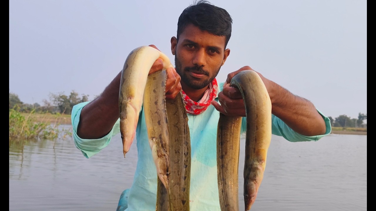 सिर्फ 11 मिनट में पकड़े 7000₹ के बाम मच्छी | Baam Machli pakadne ka tarika | Hook Fishing In River