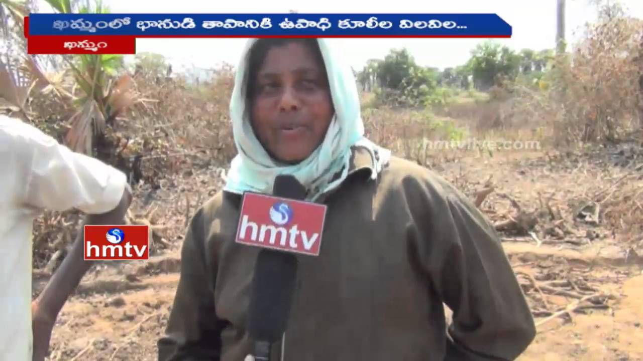 Summer Effect | Employment Assurance Workers Facing Problems | HMTV Special Story
