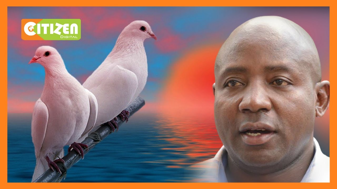 Lugari MP calls on politicians to shun divisive campaign rhetoric