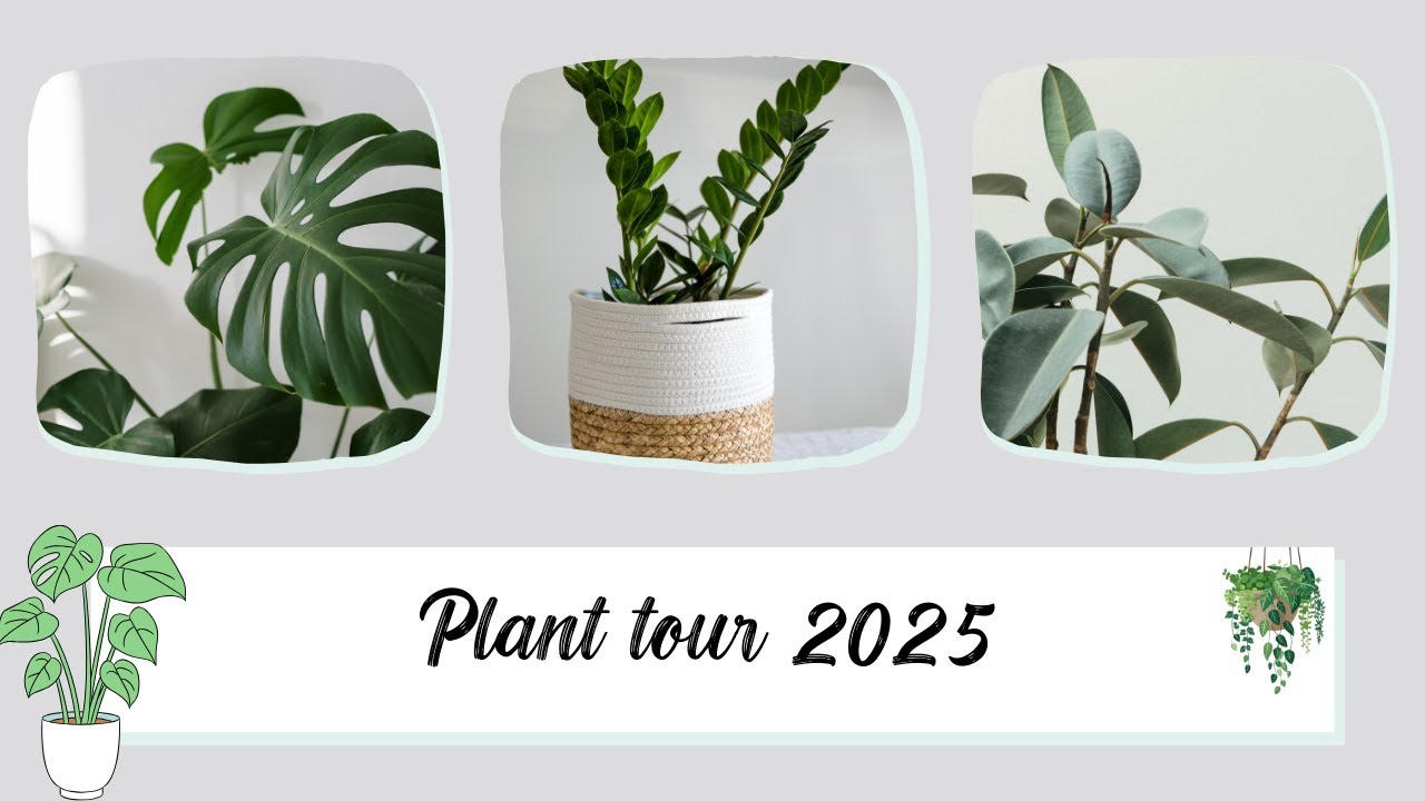 🌿Plant tour 2025🌿 - Ma collection complète de plantes #planttour #plants #collection