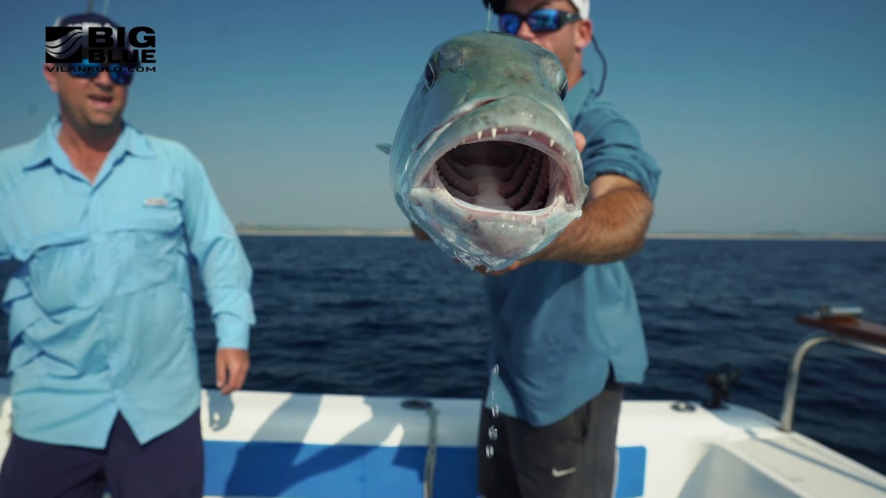 Big Blue Vilankulo