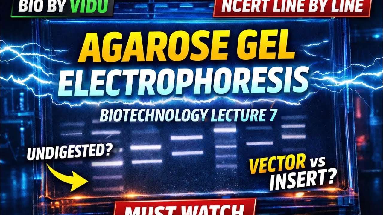 @Vaishnavi-l5e5o #biotechnology LECTURE 7#agarose gel electrophoresis #neet#neetbiology#neet2026 