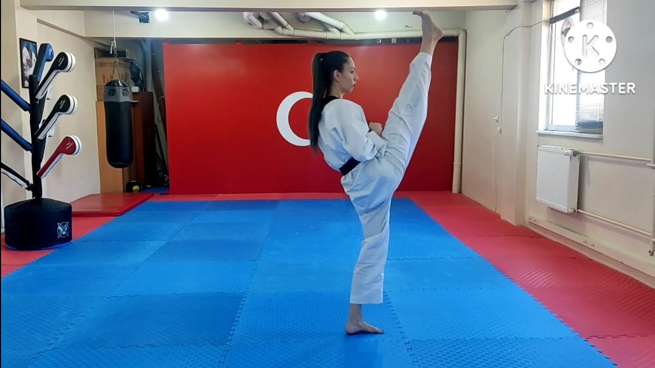 Taekwondo Yellow Belt 1. Poomse * Taeguk Il Jang