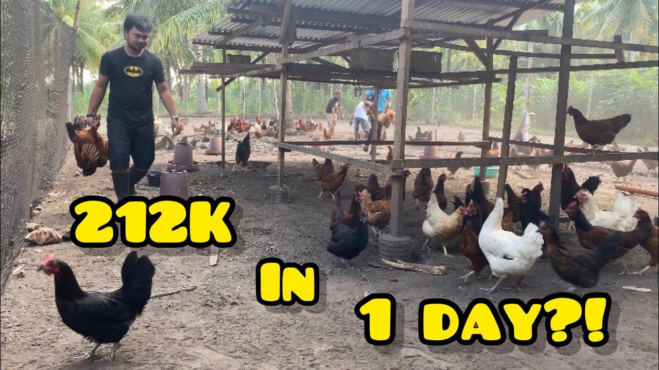 212K IN 1 DAY!