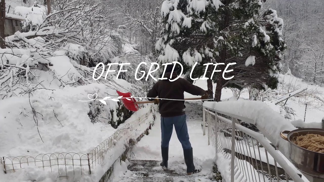 Off Grid in ITALY | A Dog's Life | Snow Day | HAPPY NEW YEAR!