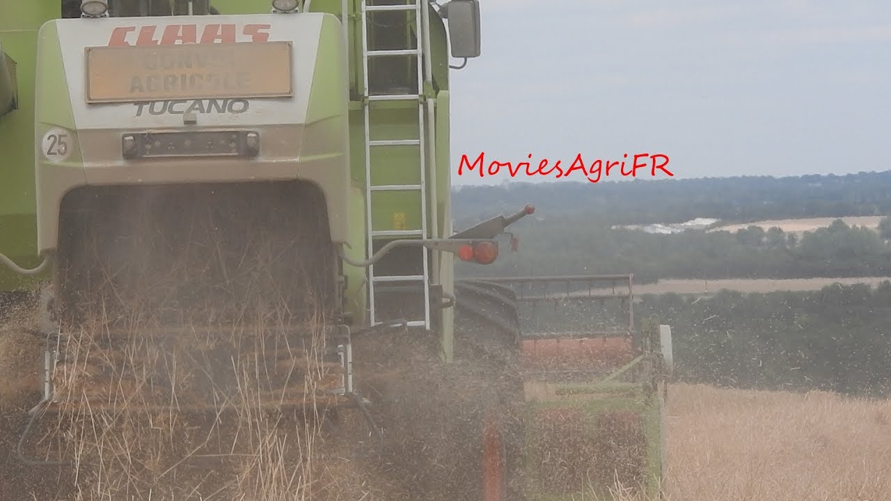 Dans Les Champs #8/ Moisson en Claas Tucano 340