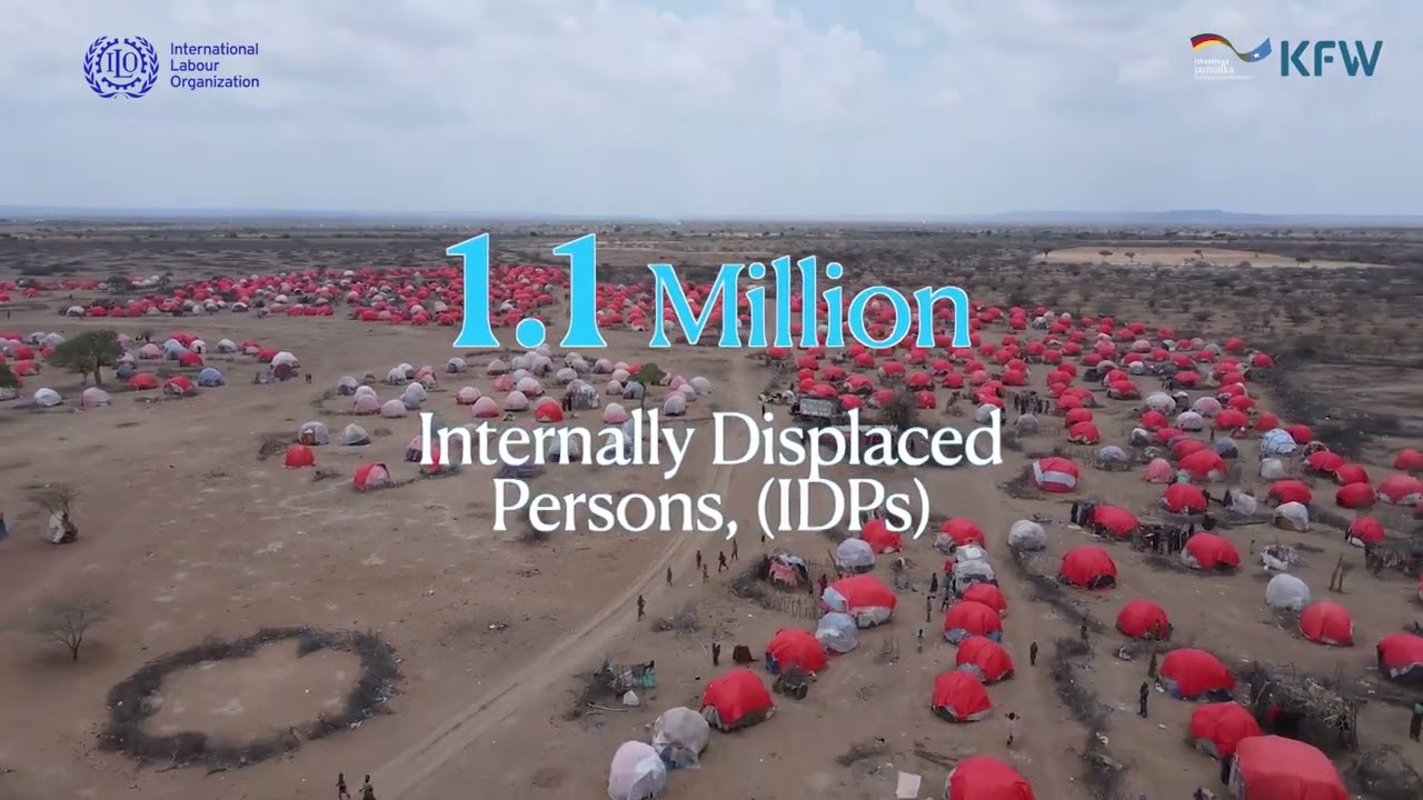 Rebuilding Lives: ILO's impact on IDPs and host communities in Somalia