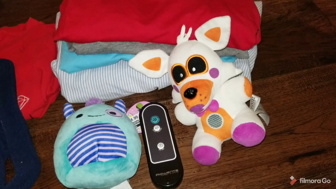 What Sold 2021 Week 2 on Amazon, Ebay, Mercari from storage units, thrifts stores, and garage sales