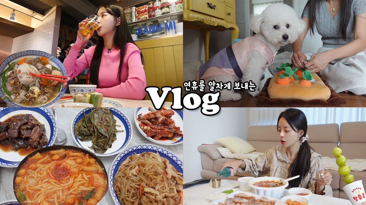 [먹방vlog] 연휴에 뭐했냐구요?? 잔뜩 먹고 마시기만 했죠 _ 김치어묵우동+회전초밥+육도령+쌀국수맛집+행궁동+추석음식+얼큰순댓국+패키지감리