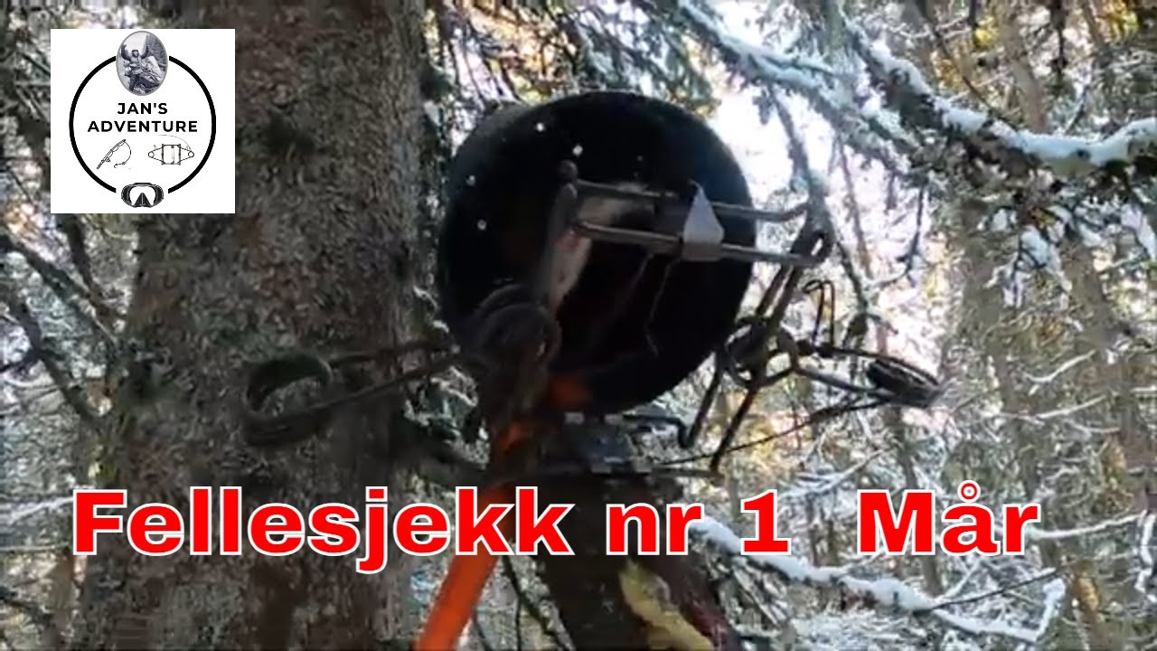Fellesjekk 1 Mår  2023-24 #Mårfeller #martentrapping