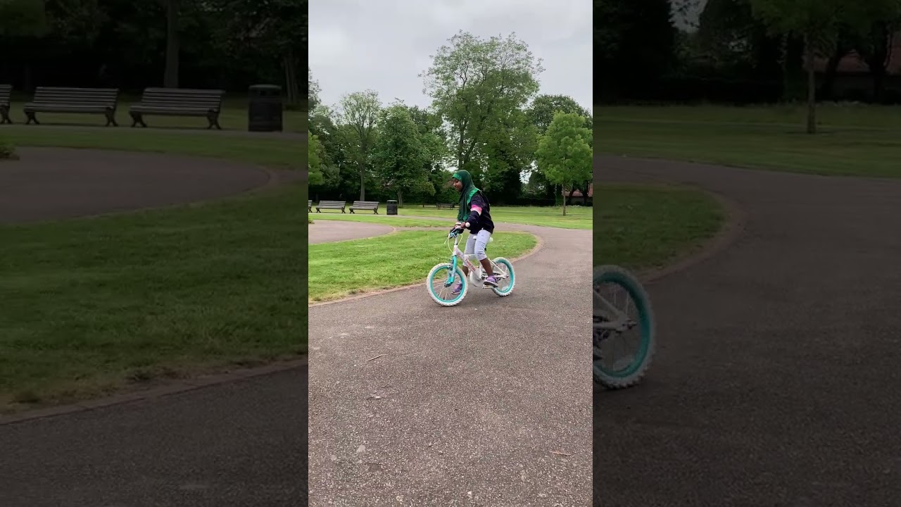 Palfrey Park. Walsall