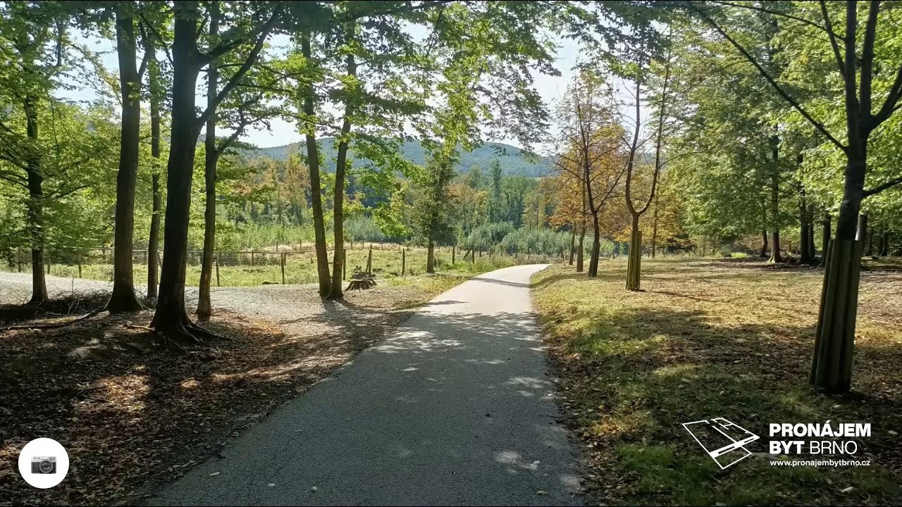 Obora Holedná, Bystrc, Komín