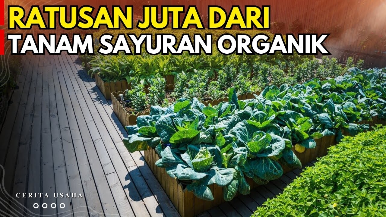 MANFAATKAN PEKARANGAN RUMAH ! CARA MEMBUAT KEBUN SAYUR ORGANIK | KISAH INSPIRASI PETANI ORGANIK