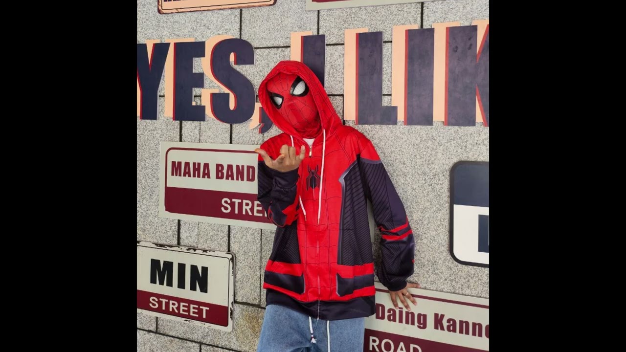 NayThaw - DLSM (Spectacular Spider-Man Intro Remix)