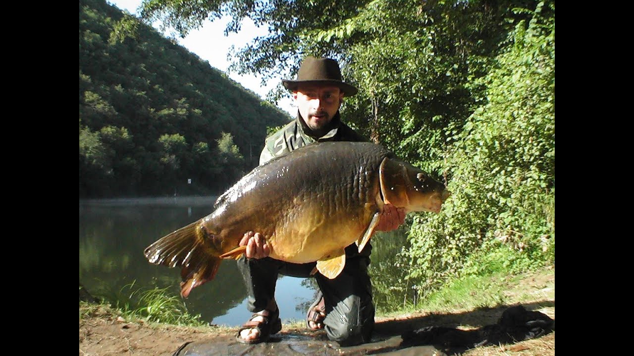Pêche de la carpe printanière sur le Loir