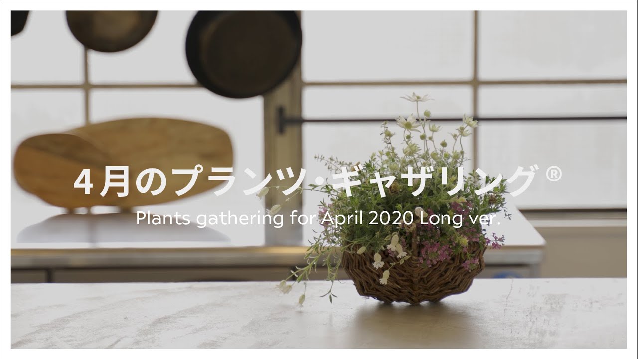 #6【4月のプランツ・ギャザリング®】Plants gathering for April 2020  Long ver.