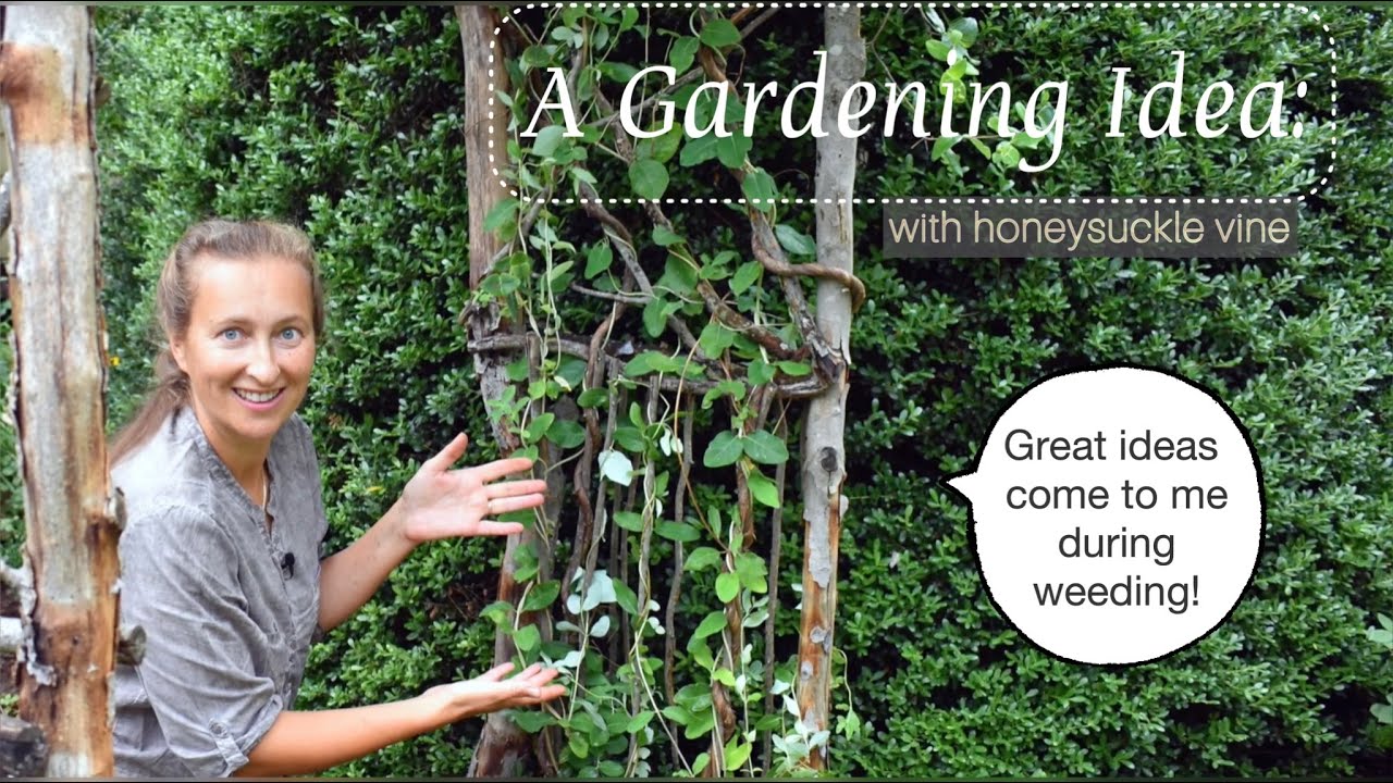 Gardening Idea: Free Standing Vine Arch