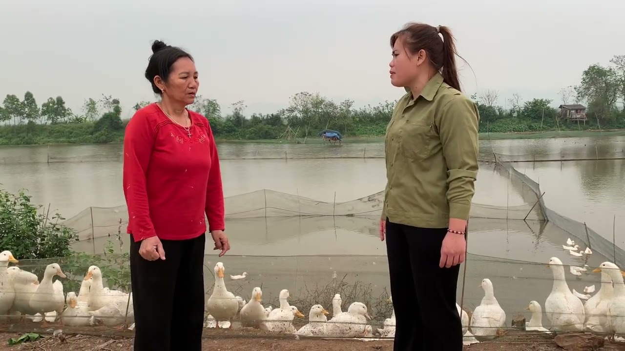 Bà quế tai ngược ứng tiền tiêu xài rồi bắt ép tiến bán vịt trả thì bị tiến bất đem trả lại tiền 