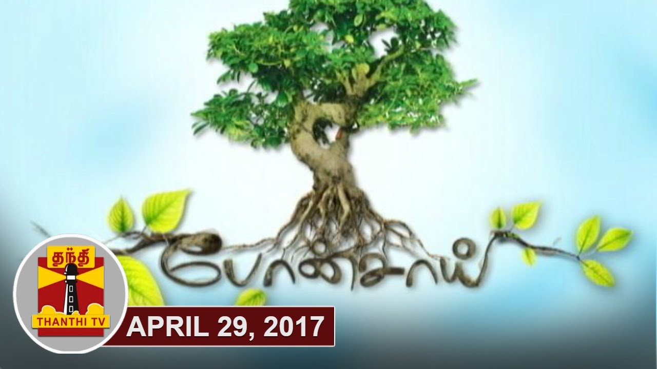 (29/04/2017) Bonsai - A Special Documentary about Bonsai Plants | Thanthi TV