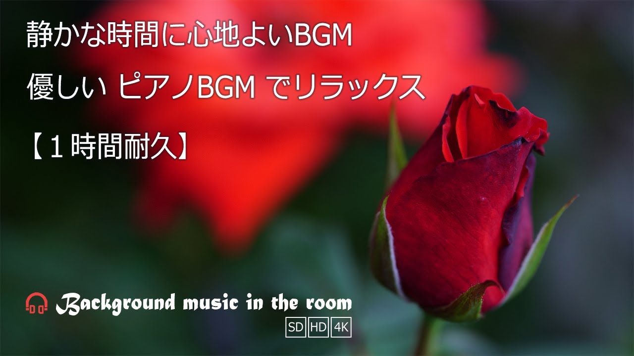 静かな時間に心地よいBGM｜ 秋の薔薇フェスタ2025 自律神経に優しい癒しの音楽 ピアノBGM