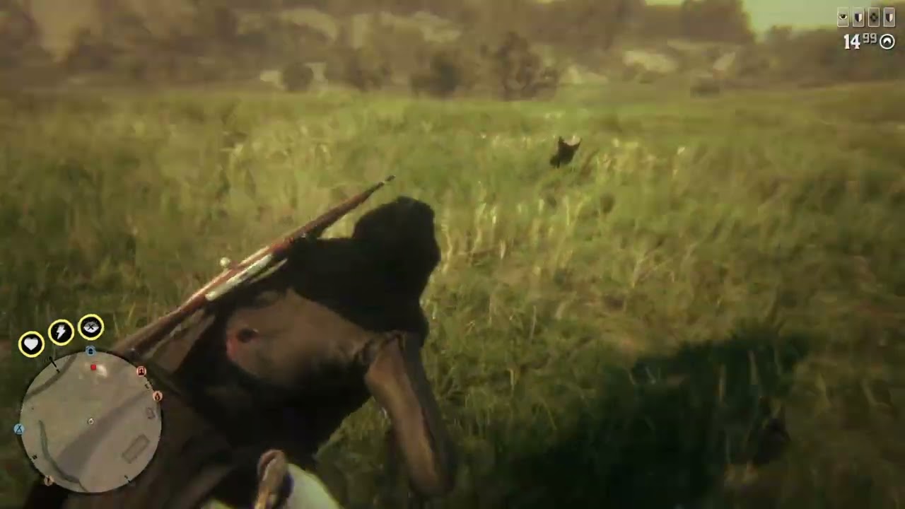 Red Dead Redemption 2_20250531023737