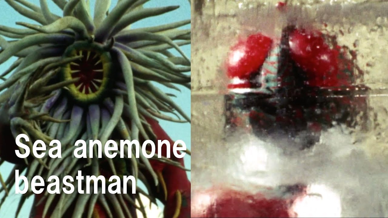 Kamen Rider Amazon
