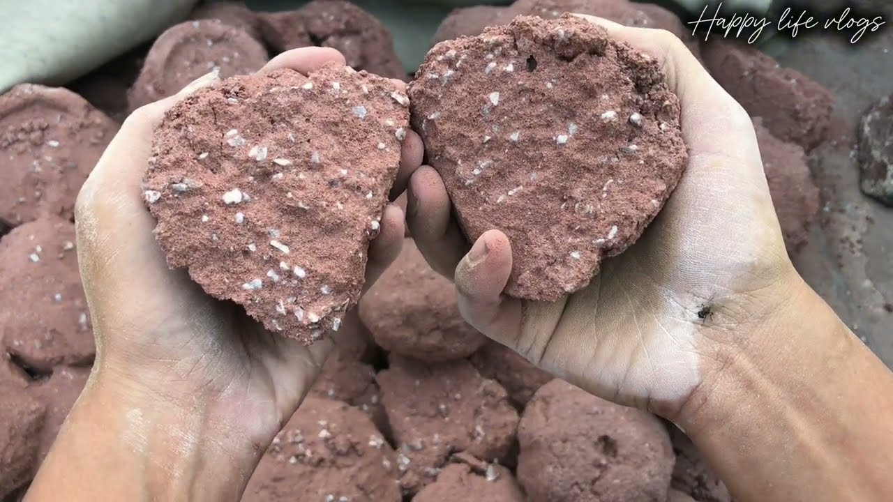 New crumbling vlog sorry late hogi☹️Mazydar crumbling km texture main b maza aya😃