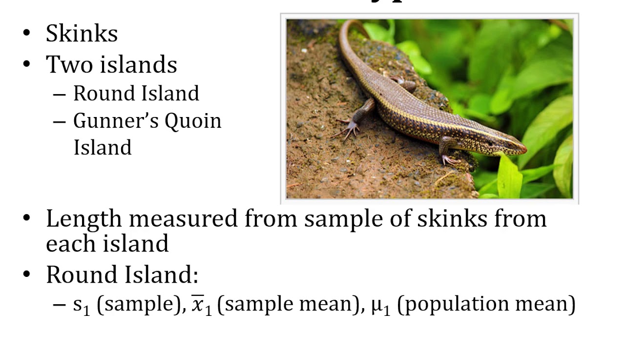 Hypothesis Testing; Statistical Testing; Test Statistic; One-Tailed Two-Tailed Hypotheses / Tests