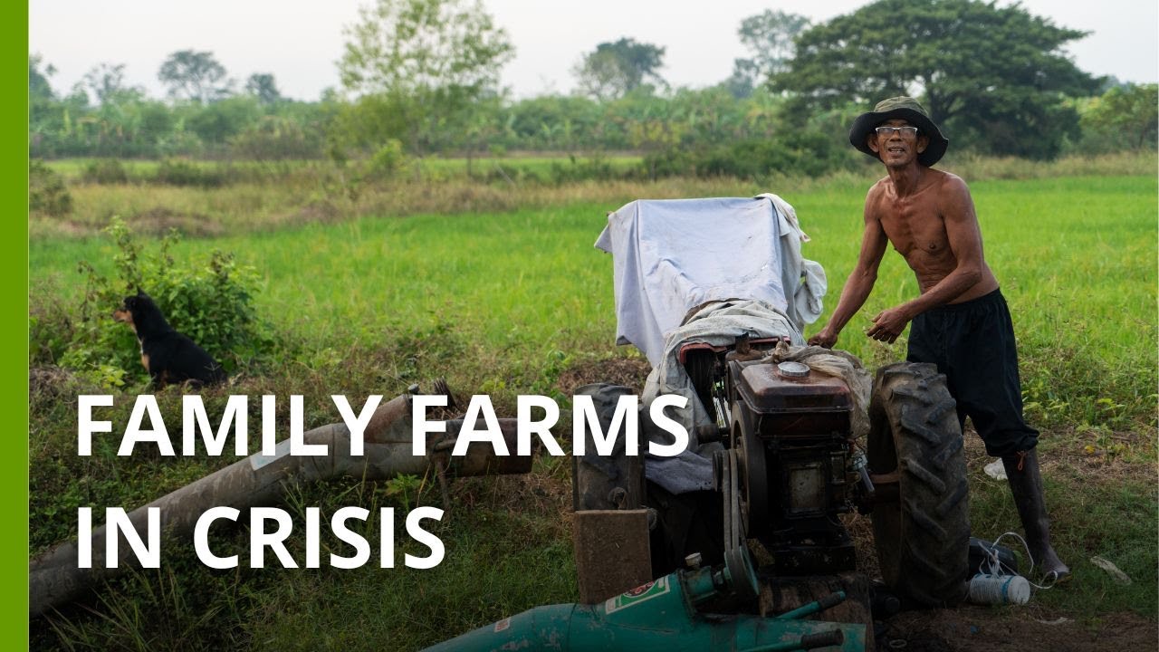 Uncertain future for Cambodia’s small-scale rice farmers