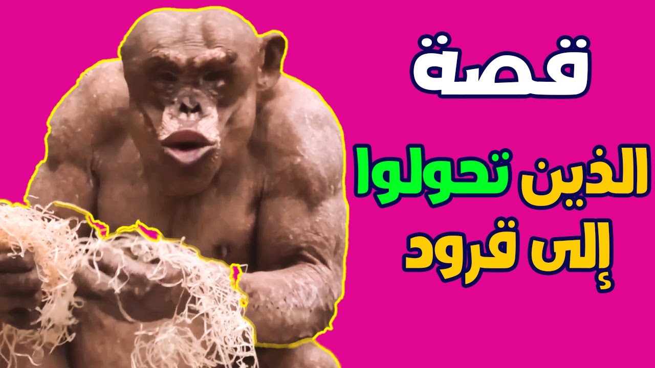 قصة الذين تحولوا إلى قردة وخنازير !! قصة أصحاب السبت بالتفصيل