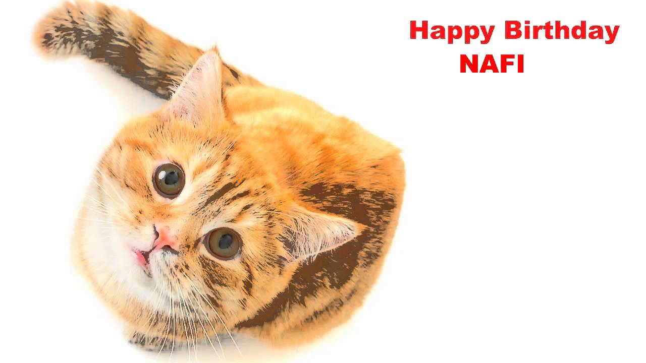 Nafi   Cats Gatos - Happy Birthday