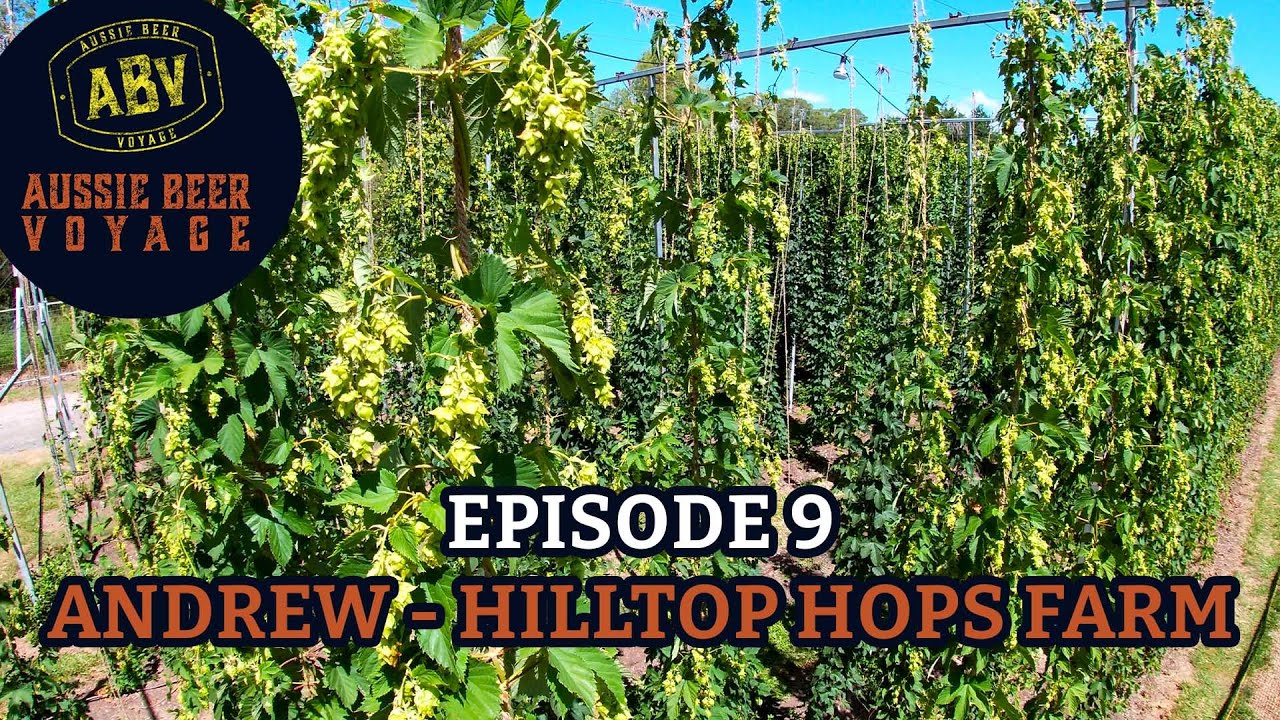 Episode 9: Andrew - Hilltop Hops Farm - Part 2 (Growing Hops in Australia)