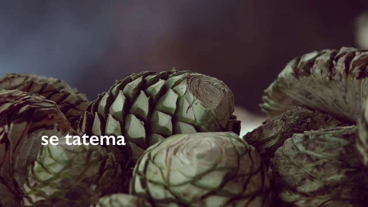 La Ruta del Mezcal en Puebla