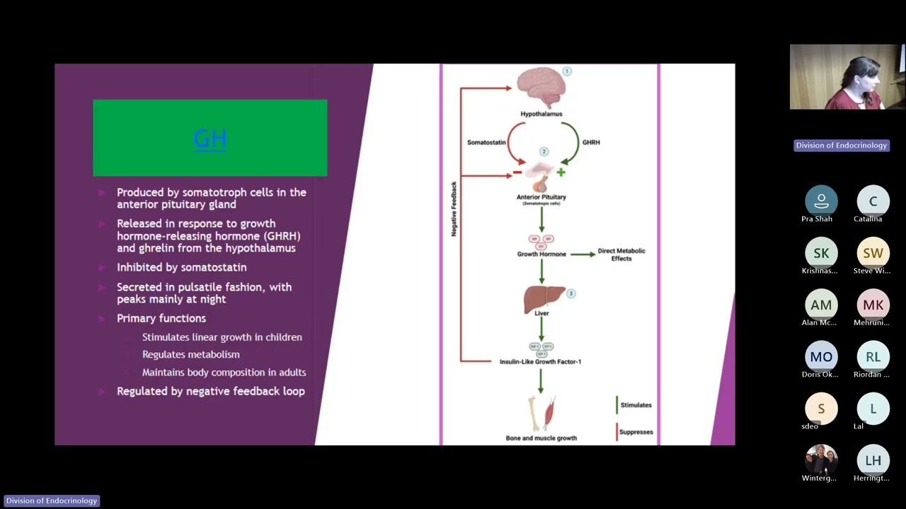 UofL Endocrinology Grand Rounds: Dr. Megan Coriell