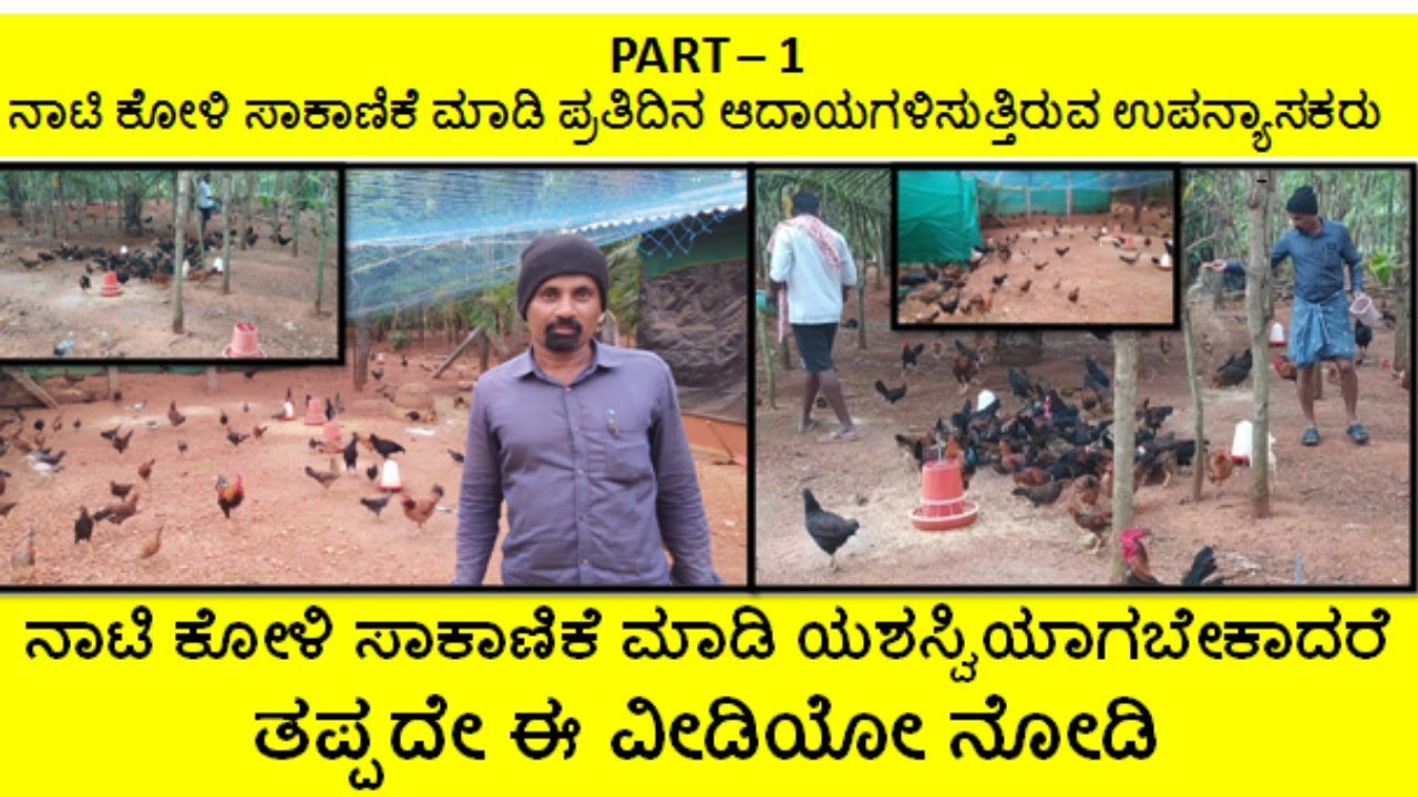 ಒಂದು ಎಕರೆ ಪ್ರದೇಶದಲ್ಲಿ ನಾಟಿ ಕೋಳಿ ಸಾಕಾಣಿಕೆ ಮಾಡಿ ಪ್ರತಿದಿನ ಆದಾಯ ಗಳಿಸುತ್ತಿರುವ ಉಪನ್ಯಾಸಕರು (PART - 1)