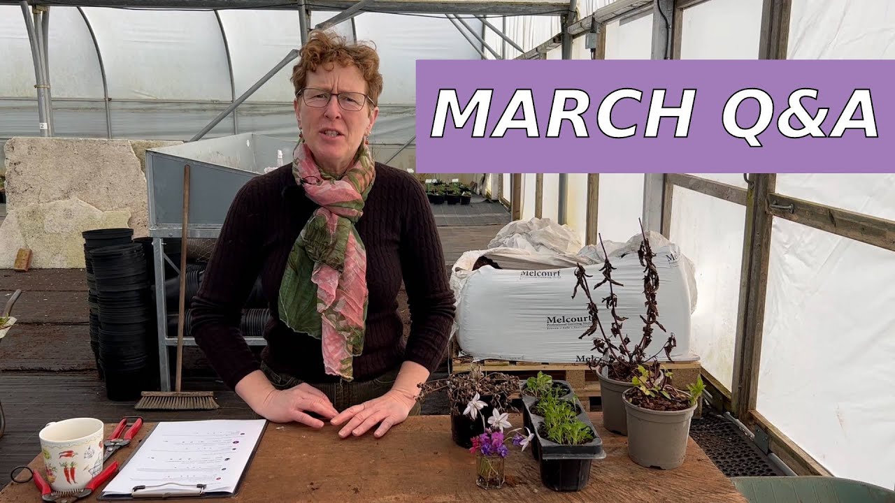 Gardening Questions Answered | March 22