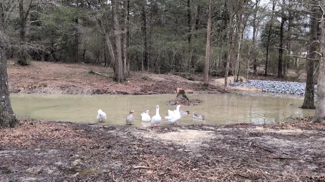 They found it!