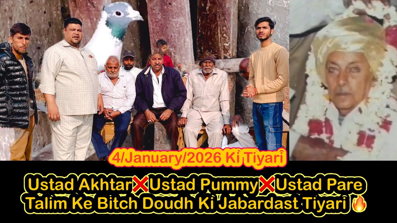 Haaji Puppy Ka Sokh || Ustad Pare Talim || 26/12/25 || #harshpigeontips #pets #vlog #birds 