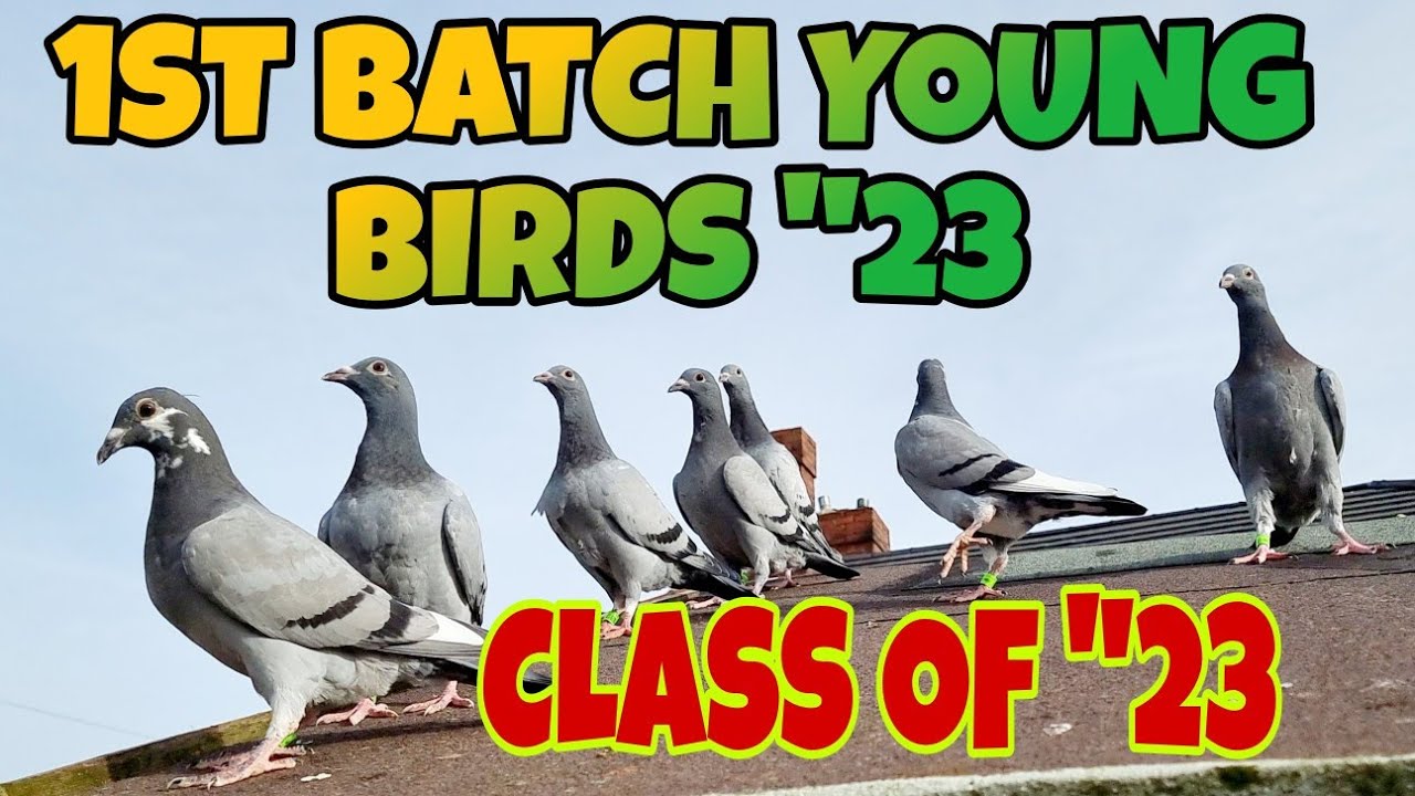 CLASS OF 